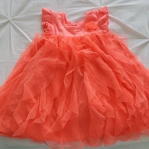 18M coral cat in jack dress